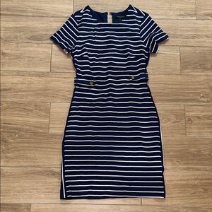 Banana Republic Navy Striped Dress